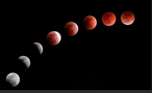 Screen Shot 2019-01-19 at 5.50.41 PM