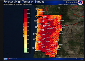 Screen Shot 2021-06-26 at 1.05.37 PM