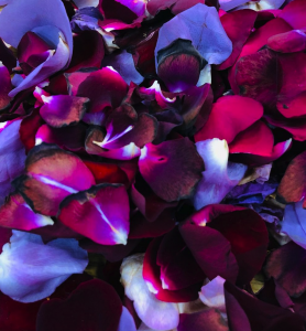 Screen Shot 2021-06-26 at 2.21.07 PM