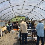 Squeezing the blue out