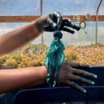 love this color so much!!!