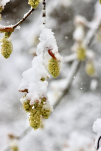 Screen Shot 2022-04-12 at 10.18.39 AM