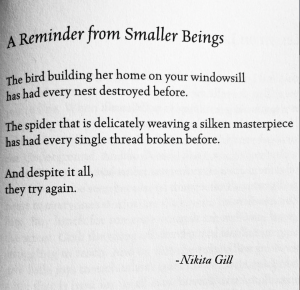 Screen Shot 2022-12-06 at 11.01.03 AM